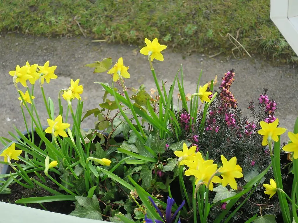 Wensleydale Farmhouse B&B 4*, Aysgarth
