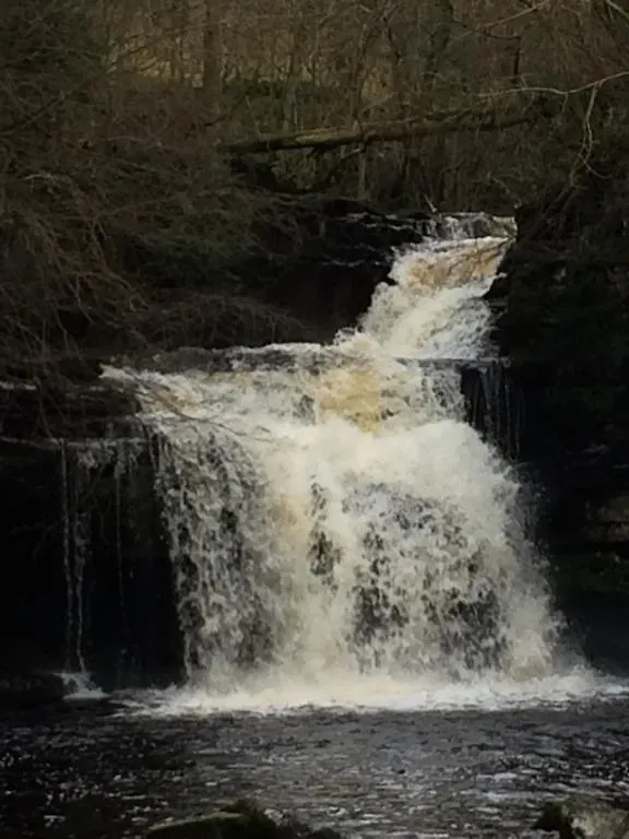 **** Bed & Breakfast Wensleydale Farmhouse B&B Regno Unito